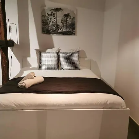 La Pomme Du President Iii Apartment Sélestat