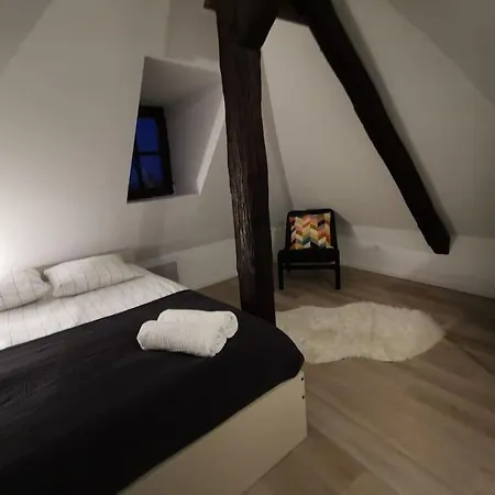 La Pomme Du President Iii Appartement Sélestat