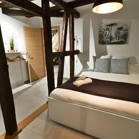 La Pomme III - Duplex Pour 6 Au Coeur De L'Alsace Διαμέρισμα